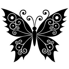 black and white butterfly