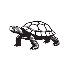 Sea turtle or tortoise silhouette isolated on white background