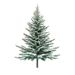 Fototapeta premium A snow covered evergreen tree stands tall against a black background a winter scene
