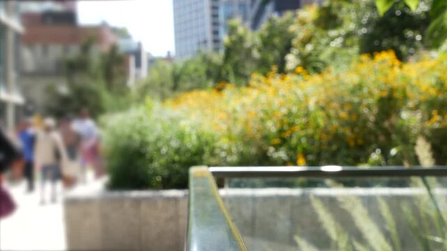 New York City High Line elevated greenway, Manhattan Midtown, USA. People in urban public park. Promenade in garden greenery. American street life, Chelsea highline near Hudson Yards. Autumn flowers.