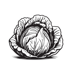 Lettuce or Cabbage line art icon 