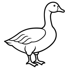 Goose Line Art Illustration