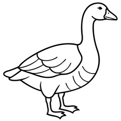 Goose Line Art Illustration