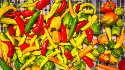 stale vegetables cucumber, pepper, carrot and tomato