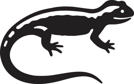 Amphibian artwork black and white salamander, Nature inspired reptile vector art