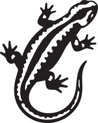 Educational salamander silhouette black and white, Amphibian drawing for kids and nature