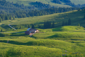 The Berner Oberland region blends dramatic alpine peaks with rolling green hills, dotted with wooden chalets and grazing cows. A picture-perfect Swiss landscape full of charm and serenity.