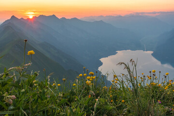 Sunrise on Augstmatthorn, painting the sky in gold above Brienzersee. A peaceful moment above the...