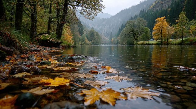 Golden and orange leaves dot the shoreline and float on the surface of a tranquil river. Misty mountains loom in the background, creating a peaceful autumn atmosphere.