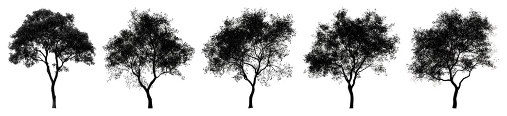 PNG Silhouettes of five leafy trees transparent background.