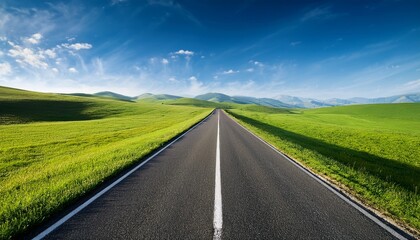 Fototapeta premium endless road along green grassland
