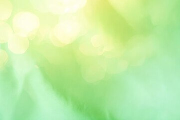 Fototapeta premium Soft Pastel Green Abstract Background with Light Bokeh