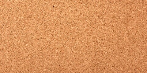 Fototapeta premium Cork Texture Background for Design