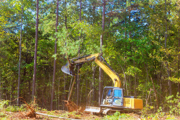 Excavator works diligently to remove tree in lush forest enhances industrial activity, land...