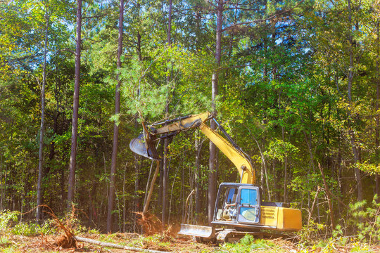 Excavator works diligently to remove tree in lush forest enhances industrial activity, land clearing efforts construction area