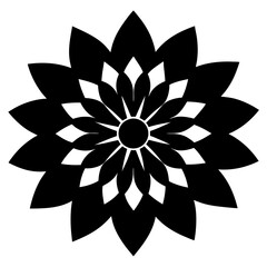 lotus flower isolated on white background