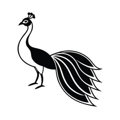 elegant peacock silhouette vector