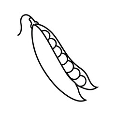 green peas line drawing illustration