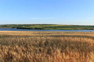 A grassy field with a body of water in the distance