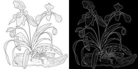 Art therapy coloring page. Linear image of orchid. The pictures are perfect for creating cards, stickers, wallpapers and other projects.