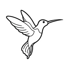 hummingbird flying drinking nectar outline art