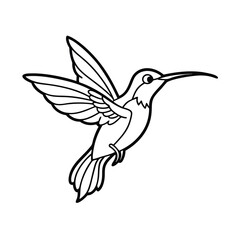 hummingbird in flight