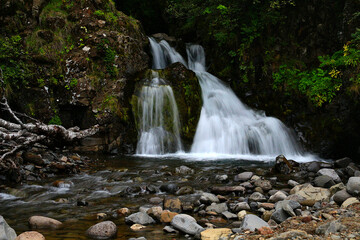 Obraz premium Small Waterfall Along Forest Path Near Svartifoss in Iceland