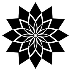 black and white flower