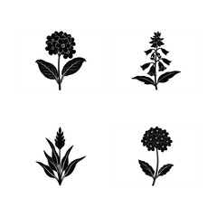 Vector art of a selection of floral silhouettes featuring foxglove and other blooms isolated on white background © FARZANAAKTER
