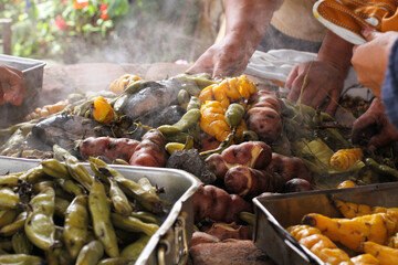photography of traditional Peruvian food called Pachamanca. Food concept.