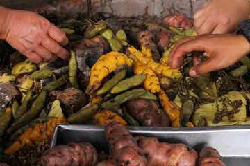 photography of traditional Peruvian food called Pachamanca. Food concept.