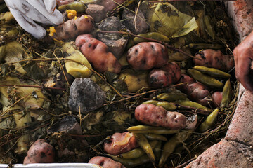 photography of traditional Peruvian food called Pachamanca. Food concept.