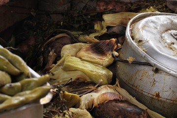 photography of traditional Peruvian food called Pachamanca. Food concept.