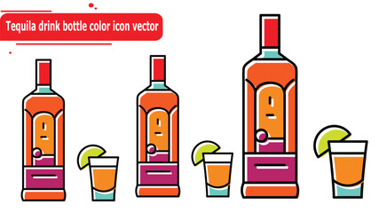 Tequila drink bottle color icon vector