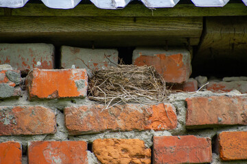 a birds nest on the bricks under the roof