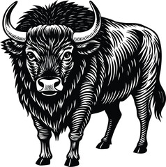 Majestic European Bison A Striking Black and White Illustration