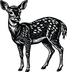 Elegant Black and White Illustration of a Roe Deer © BAPJAN IT