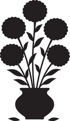 Geda flower গেদাফুল