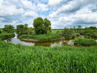 A panoramic river winds through farm fields, surrounded by tall green grasses and trees under a...