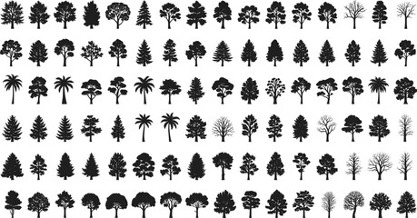 Tree silhouettes, botanical shapes, forest elements, natural diversity, conifer outlines, deciduous trees, palm silhouettes, bare branches, isolated trees, design resources, lan