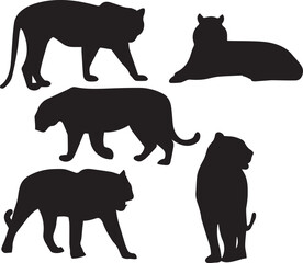 Tiger Animal Silhouette Vector set – Hunting and Relaxing Poses