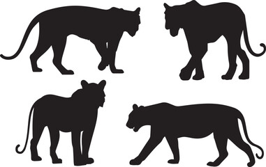 Tiger Animal Silhouette Vector set – Hunting and Relaxing Poses