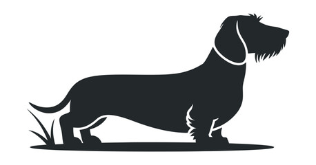 Silhouette of a Wirehaired Dachshund standing on grass