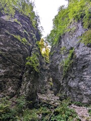 Deep narrow Pokljuka Gorge in Slovenia surrounded by steep cliffs, dense forest, and hiking trails.