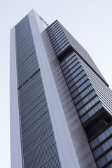 modern skyscraper in the city