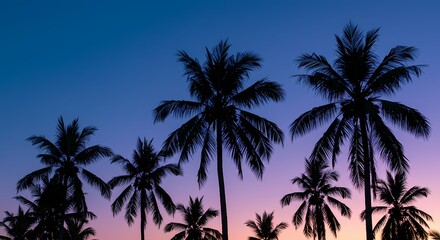 Silhouetted Palm Trees at Sunset A Tropical Paradise