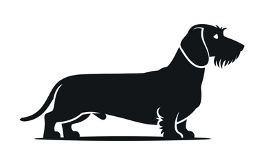 Silhouette of a Wirehaired Dachshund Dog
