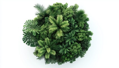 Lush Rainforest Canopy In Penang Hill: A Captivating View Of Tropical Foliage, Biodiversity, And Earth'S Ecology On Earth Day