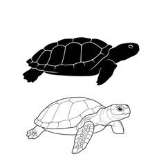 Sea Turtle Marine Reptile Black Silhouette and Line Art Vector Set