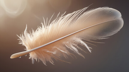 A soft white feather, gracefully resting on a light background, symbolizing lightness, purity, and tranquility.